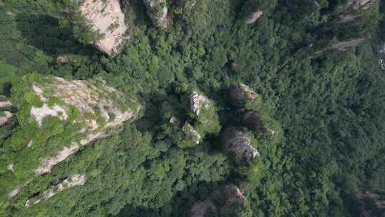 湖南省张家界景区阿凡达取景地奇峰穿云航拍