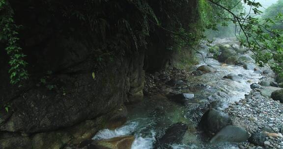 顺流而下航拍夏日山涧溪流