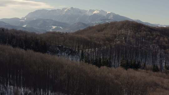 布拉索夫，雪，山，森林