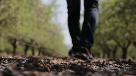 特写男人的脚步走在林间小道