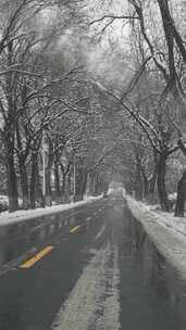 威海市环翠区张村镇里口山路冬季雪景