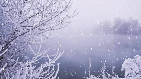 唯美冬季雪景下雪林海雪原视频