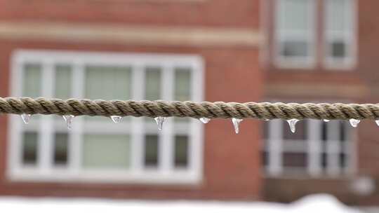 冻雨过后冻住的绳索