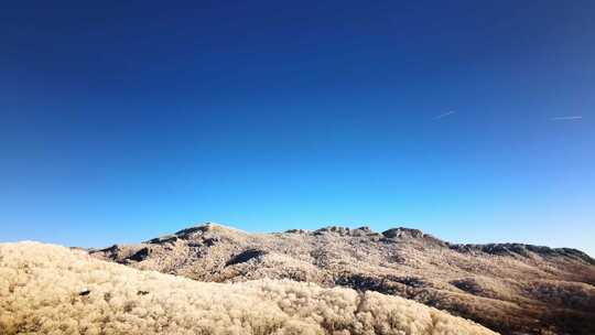 白雪覆盖的森林和丘陵