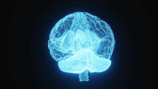 人体大脑和数据芯片开发尖端科技