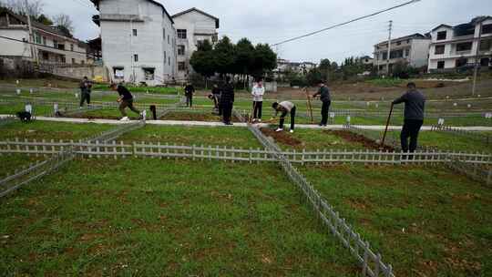 劳动空镜刨土锄地农场工人耕作劳作翻土