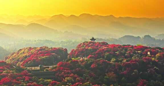 贵州毕节百里杜鹃景区航拍