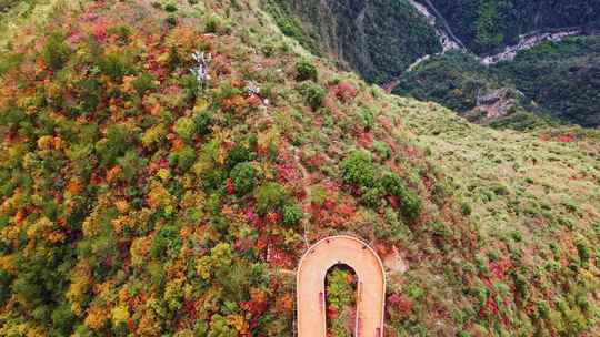 三峡红叶