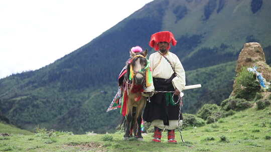 西藏牧民和马