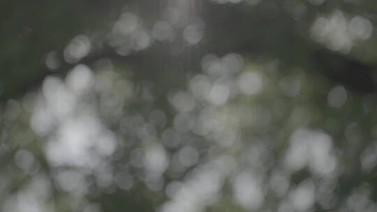 人文意境空镜头