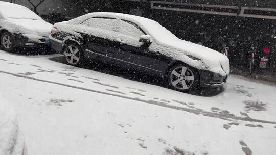汽车私家车下雪落雪积雪