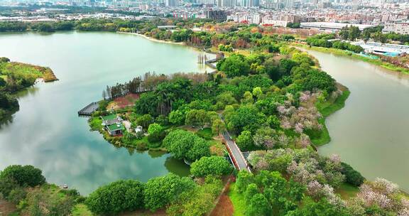 广州海珠区海珠湖公园航拍2022年最新