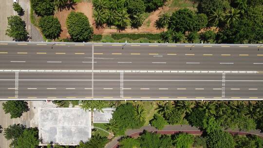 海口世纪大桥 海甸河 公路