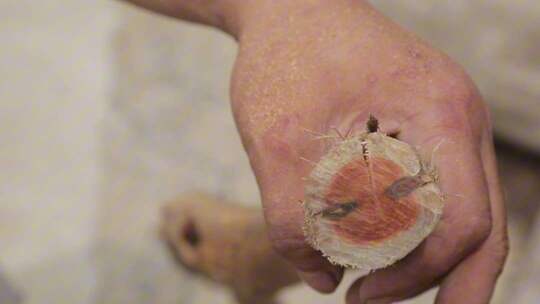 木工木匠锯木头挑木料