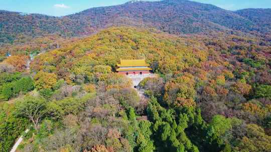 【3分钟】南京明孝陵秋景