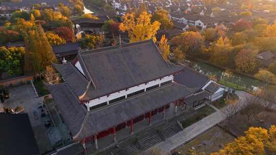 浙江嘉兴梅花洲石佛寺千年银杏航拍