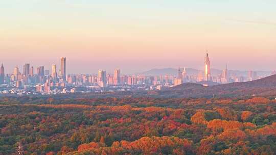 南京秋天 音乐台 中山陵风景区