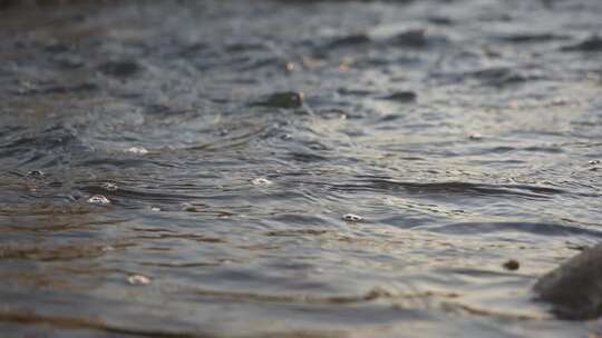 水 河流 慢动作 河流 小溪 水流 河道