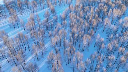 航拍雪原小树林暮色