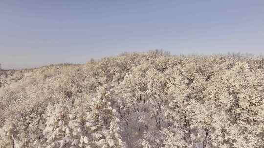 冰天雪地东北雾凇雪山