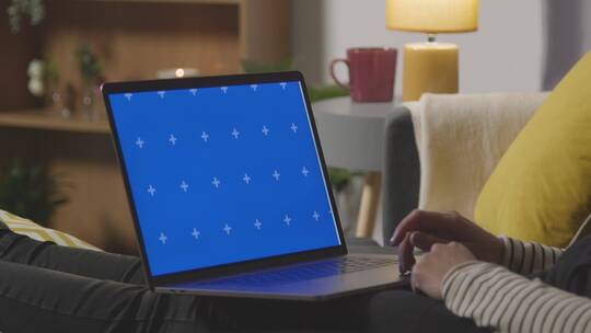 女性使用蓝屏电脑网上购物