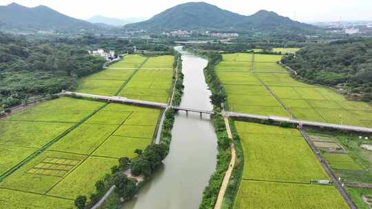 中国广东省广州市从化艾米稻香小镇