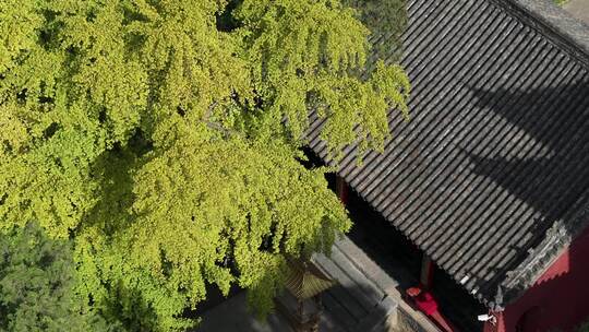 航拍郑州嵩山大法王寺