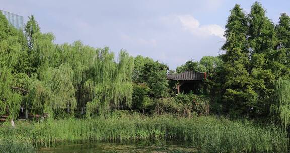 武汉硚口区园博园园风景