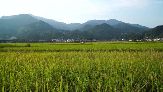 湖南乡村田园自然风光