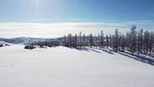 雪后山地树林全景自然风光