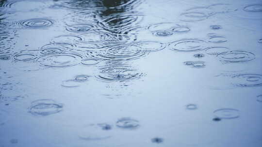 小雨下雨雨滴视频素材模板下载