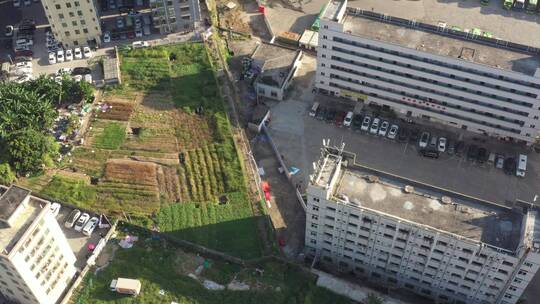 航拍深圳城市建筑风景