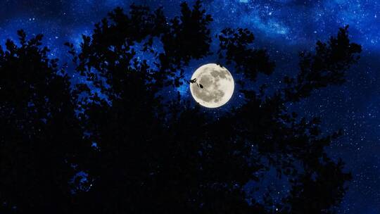透过树枝拍摄科幻月亮星空
