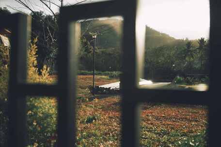 太阳雨下的公园