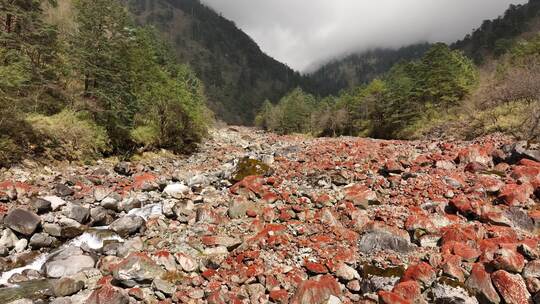 二郎山喇叭河红石