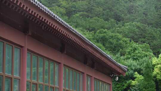 雨天屋檐下雨雨水惊蛰禅意古风清明大暑