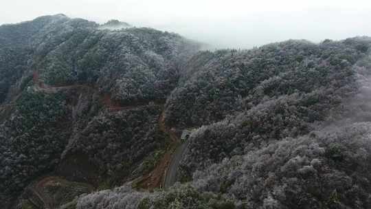 雪山雾凇公路1