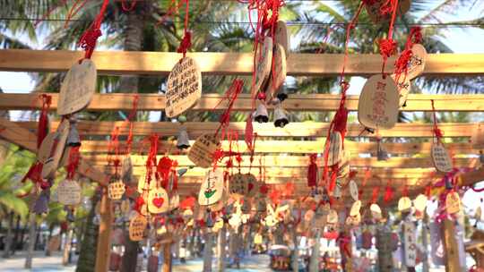 南海岛旅游在椰树下许愿浪漫的风铃声