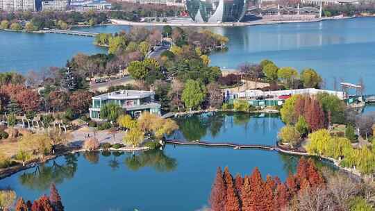 航拍深秋初冬徐州云龙湖风景区,红色水杉