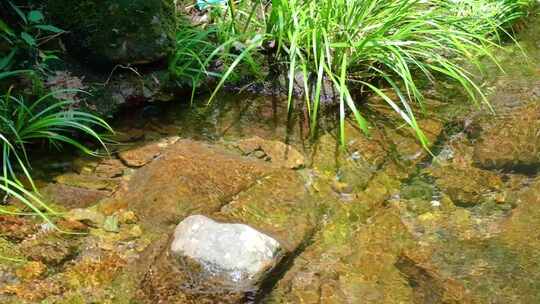 河边流水河流河水小溪山泉泉水流体液体水流