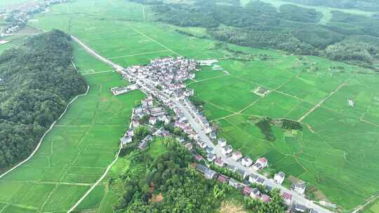 美丽乡村航拍田园风光绿色农村鸟瞰田野风景