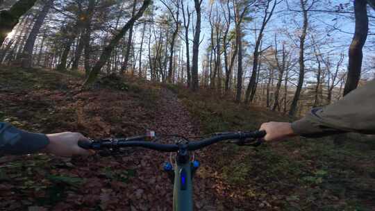 Pov、电动自行车、山地自行车、Emtb