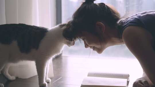 女孩与猫的温馨画面视频素材模板下载