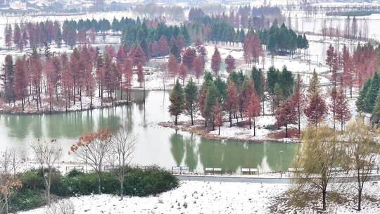 航拍湿地公园雪景树林湖岛木屋鸟类杉树木