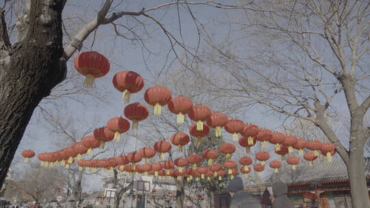 北京胡同过年街景气氛 春节街景氛围