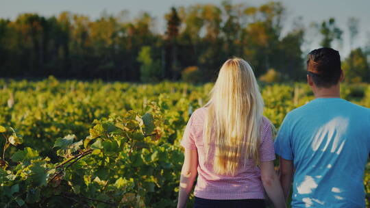 年轻夫妇在葡萄园散步去葡萄酒生产地 
