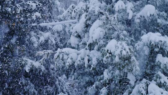 雪景素材 4K120帧