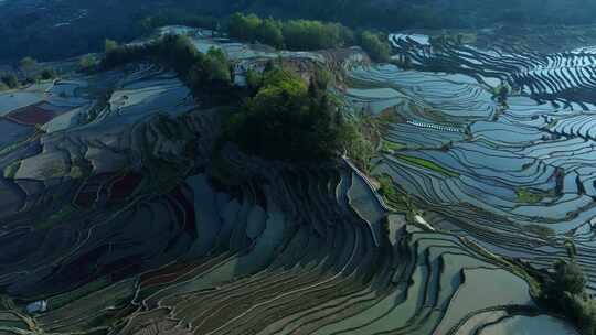 云南元阳梯田