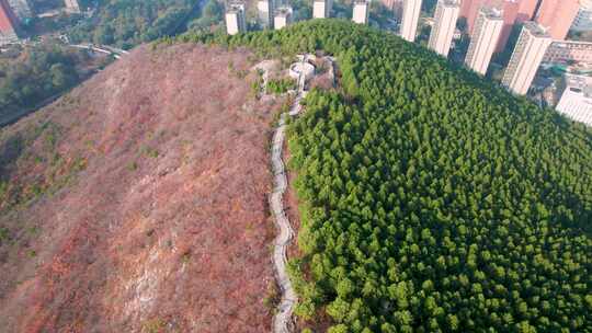 山东济南蝎子山绿色红色秋天风光景色航拍