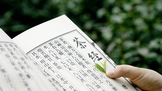 茶经古籍茶文化古书翻页翻书